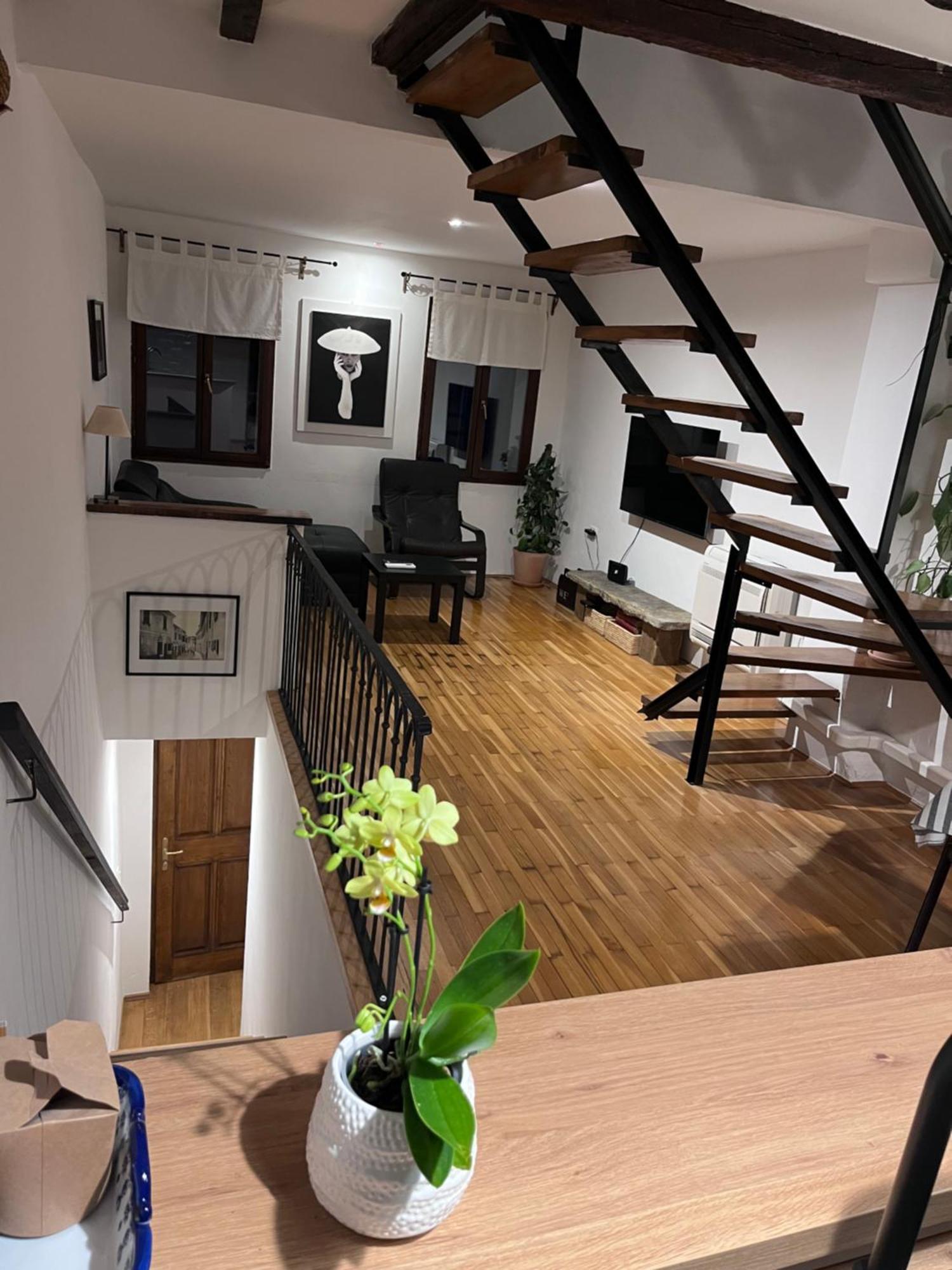 Apartment Capo D'Istria Koper Extérieur photo